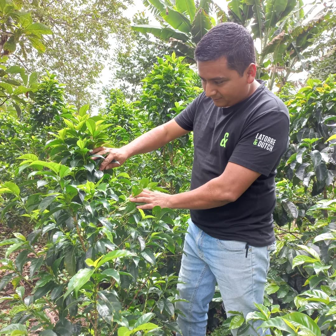 Deiro Garcia Finca Lord Voldemort - Yeast Inoculated Ombligon - Colombia