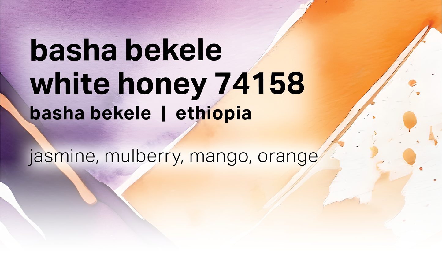 Basha Bekele Murago - White Honey Washed Landrace - Ethiopia