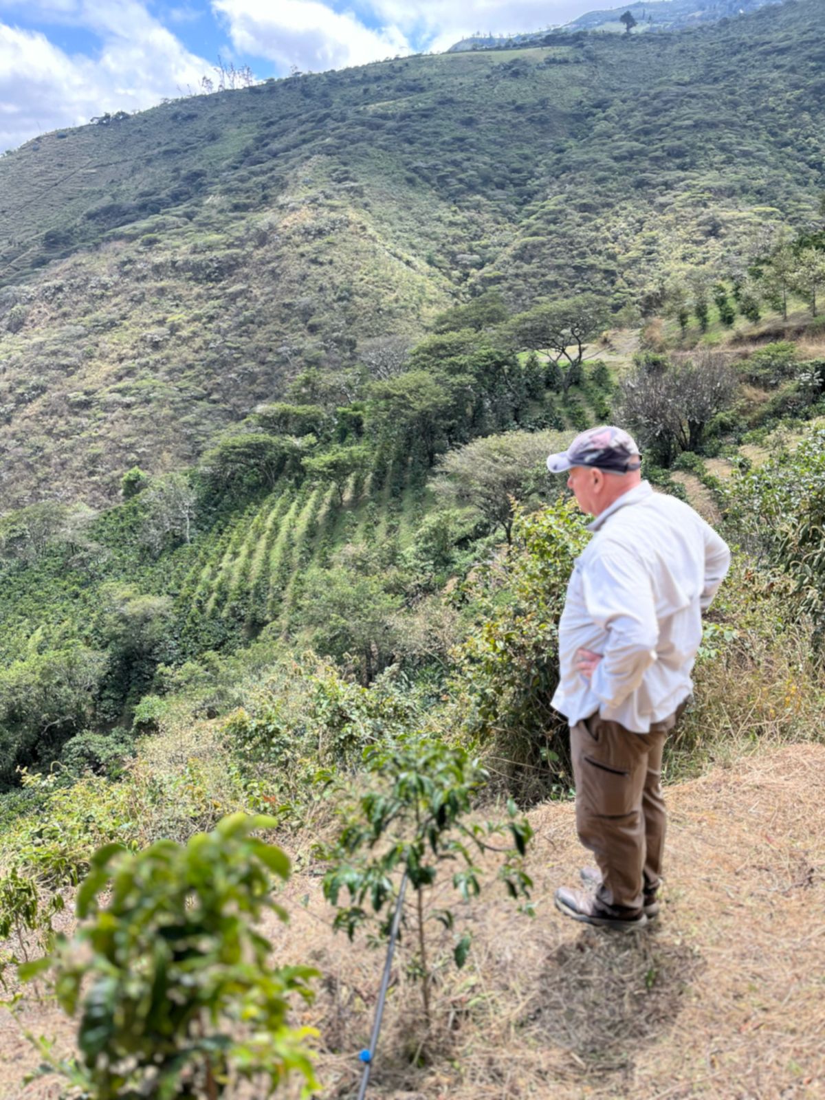 La Noria Lot #2 - Double Fermentation Washed Gesha - Ecuador