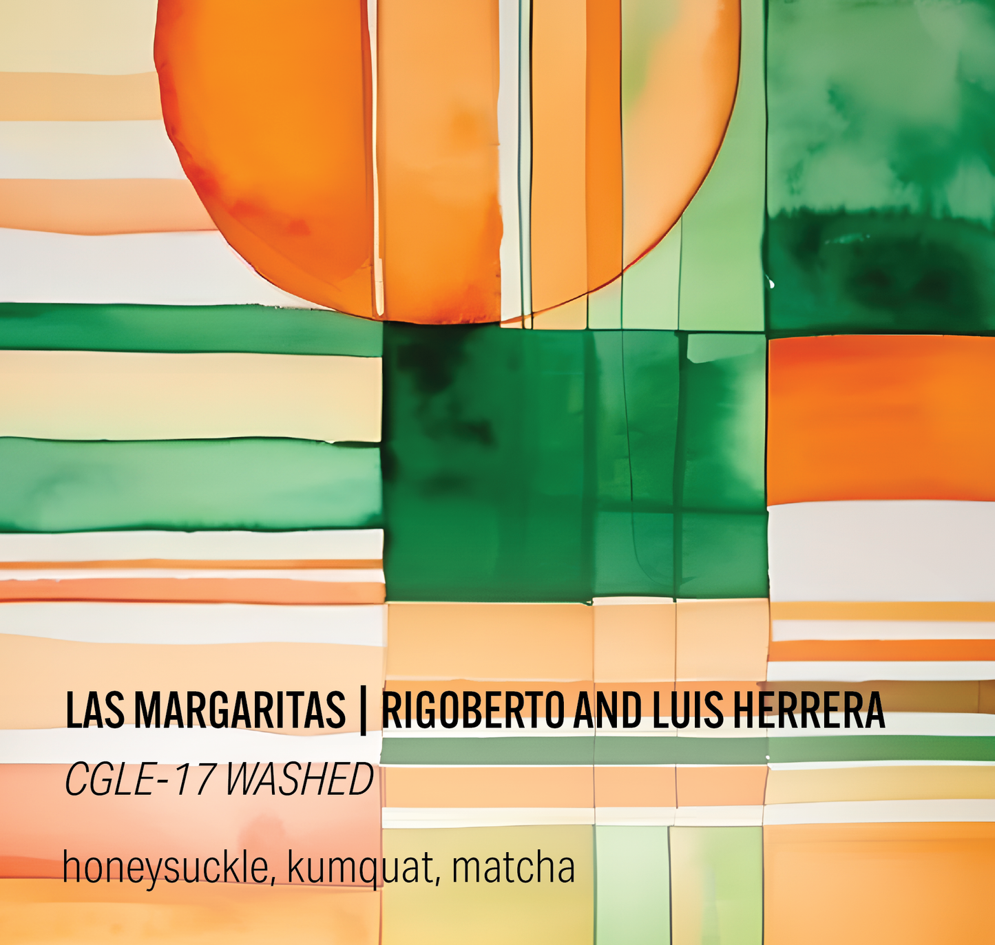 Las Margaritas - CGLE-17 Washed - Colombia