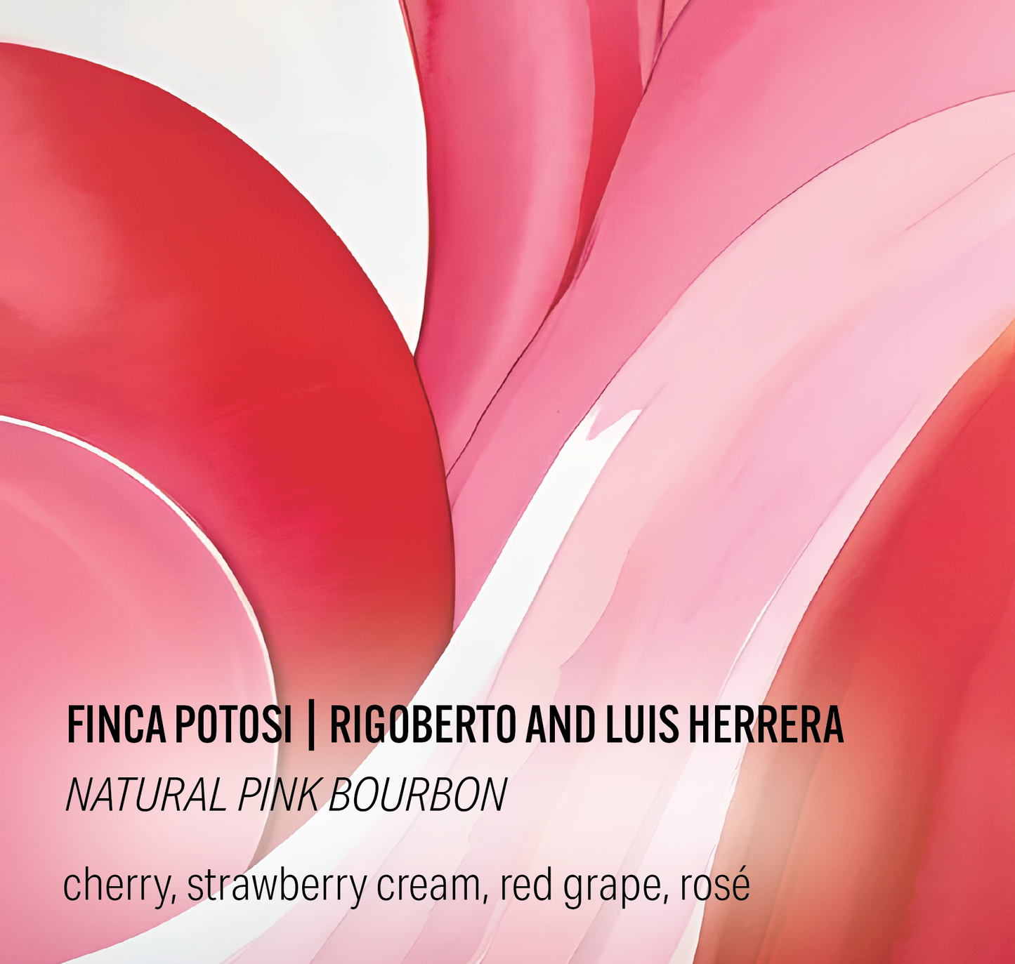 Finca Potosi - Natural Pink Bourbon - Colombia