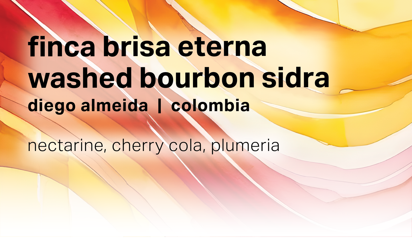 Diego Almeida Finca Brisa Eterna - Washed Bourbon Sidra - Colombia