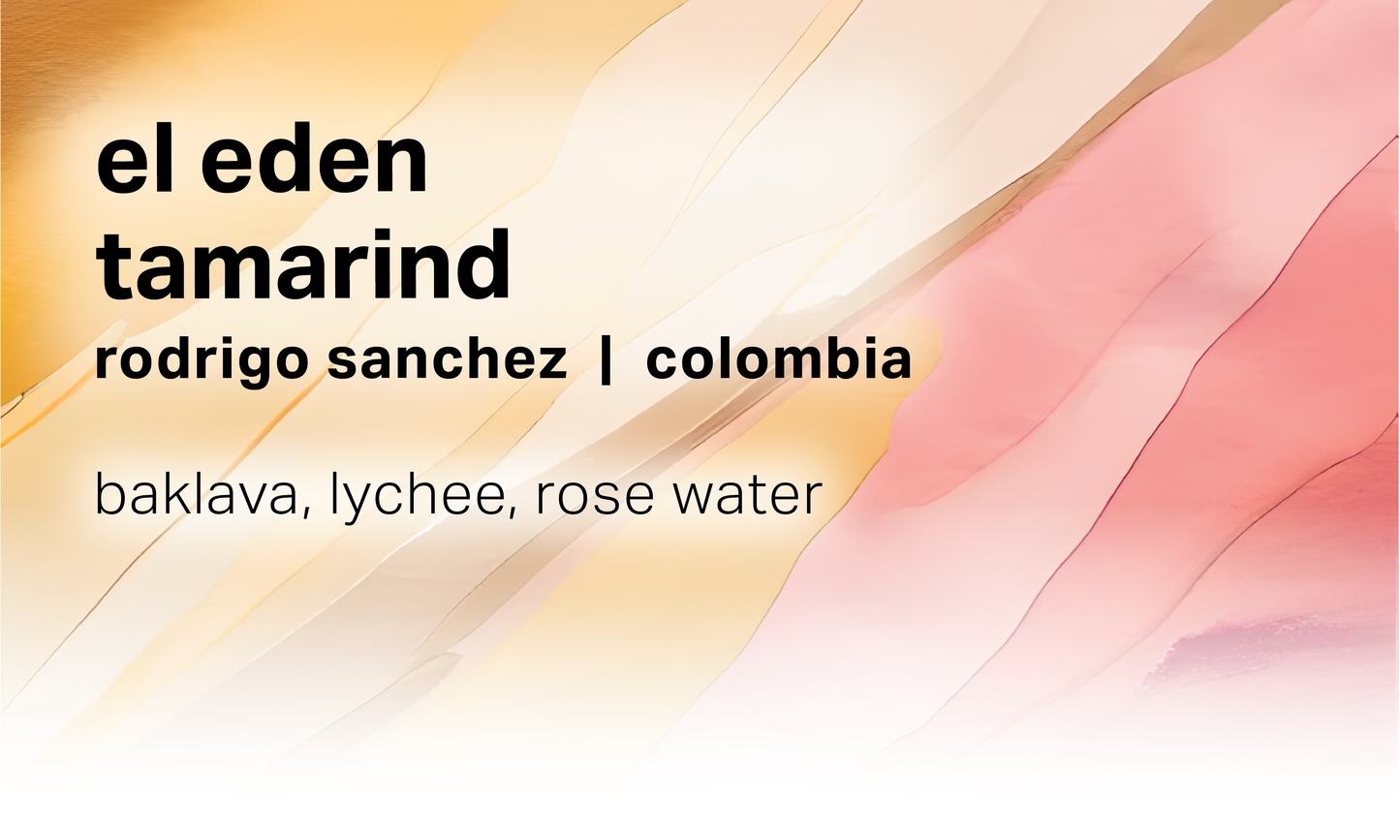 Rodrigo Sanchez El Eden - Tamarind Washed Purple Caturra Bourbon - Colombia
