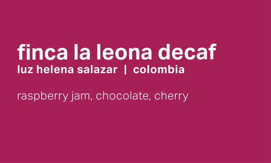 Finca La Leona - Swiss Water Process Decaf Honey Caturra - Colombia