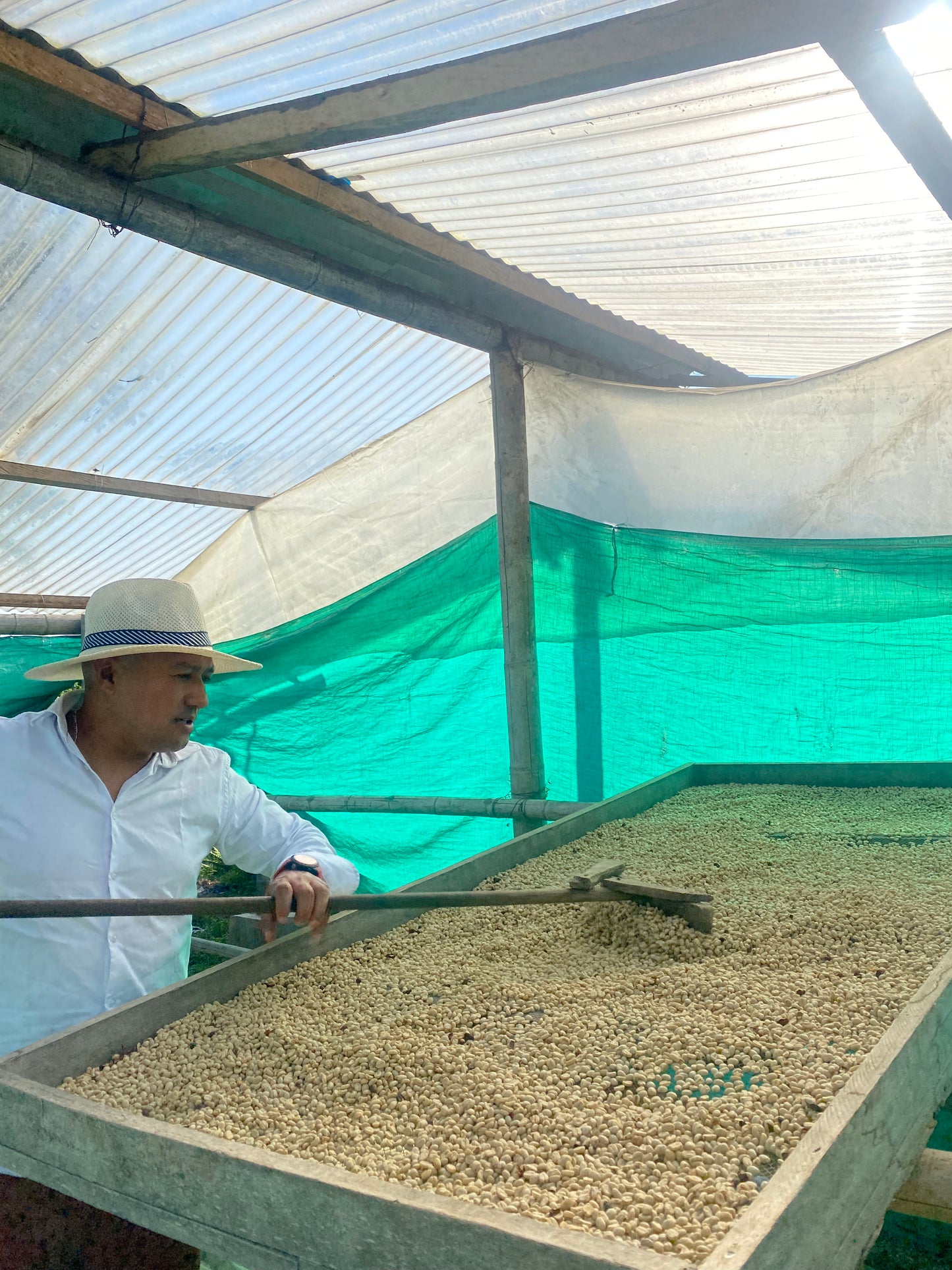 James Fernandez Sudan Rume Washed - La Laja - Colombia