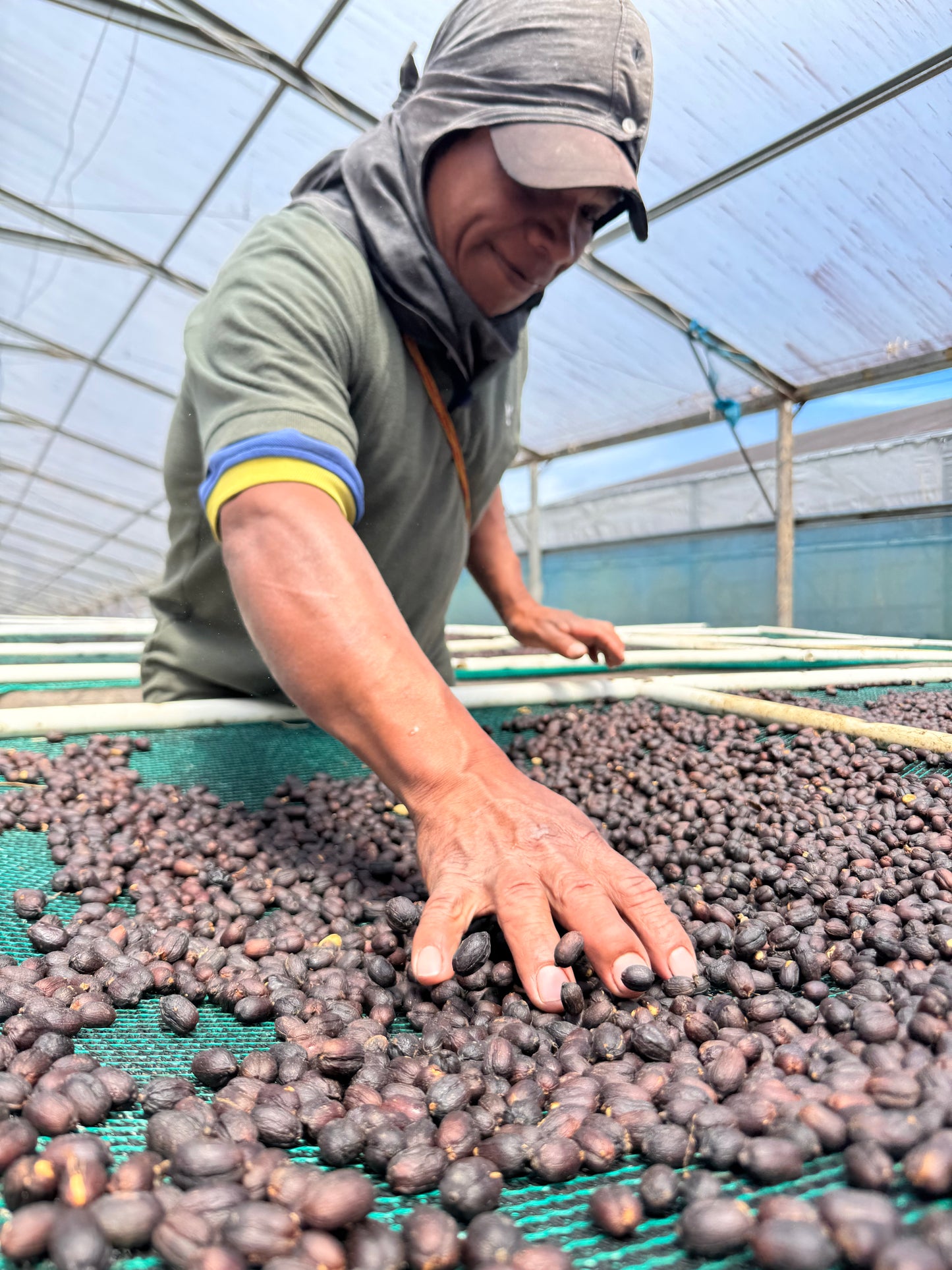 Chevas Coffee Estate - Washed Gesha 6161C - Panama