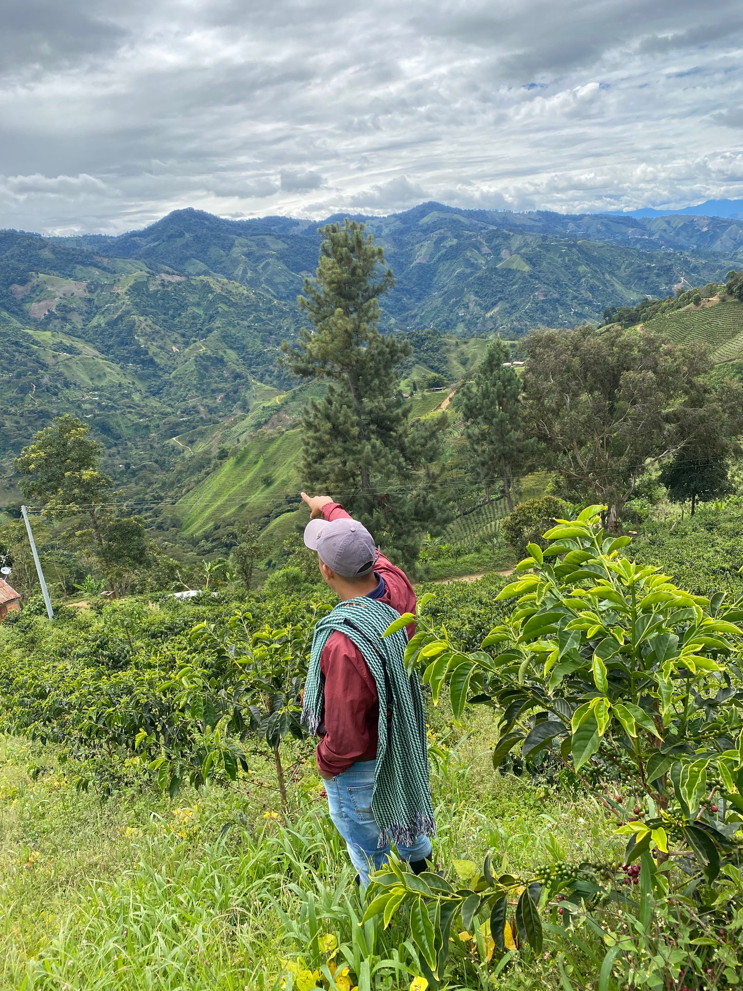 El Jardin - Jorge Rojas - Washed Chiroso - Colombia
