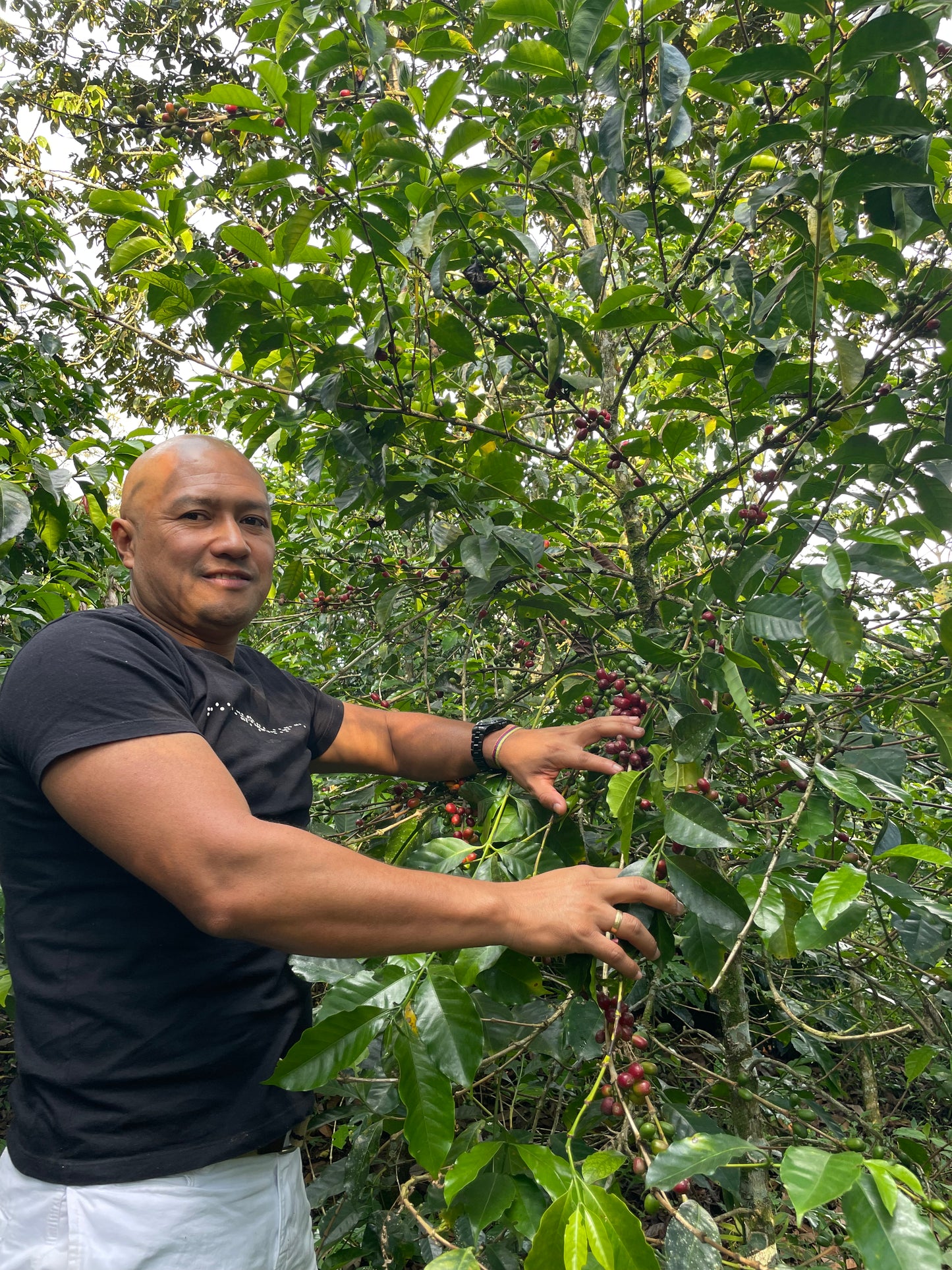 James Fernandez Sudan Rume Washed - La Laja - Colombia