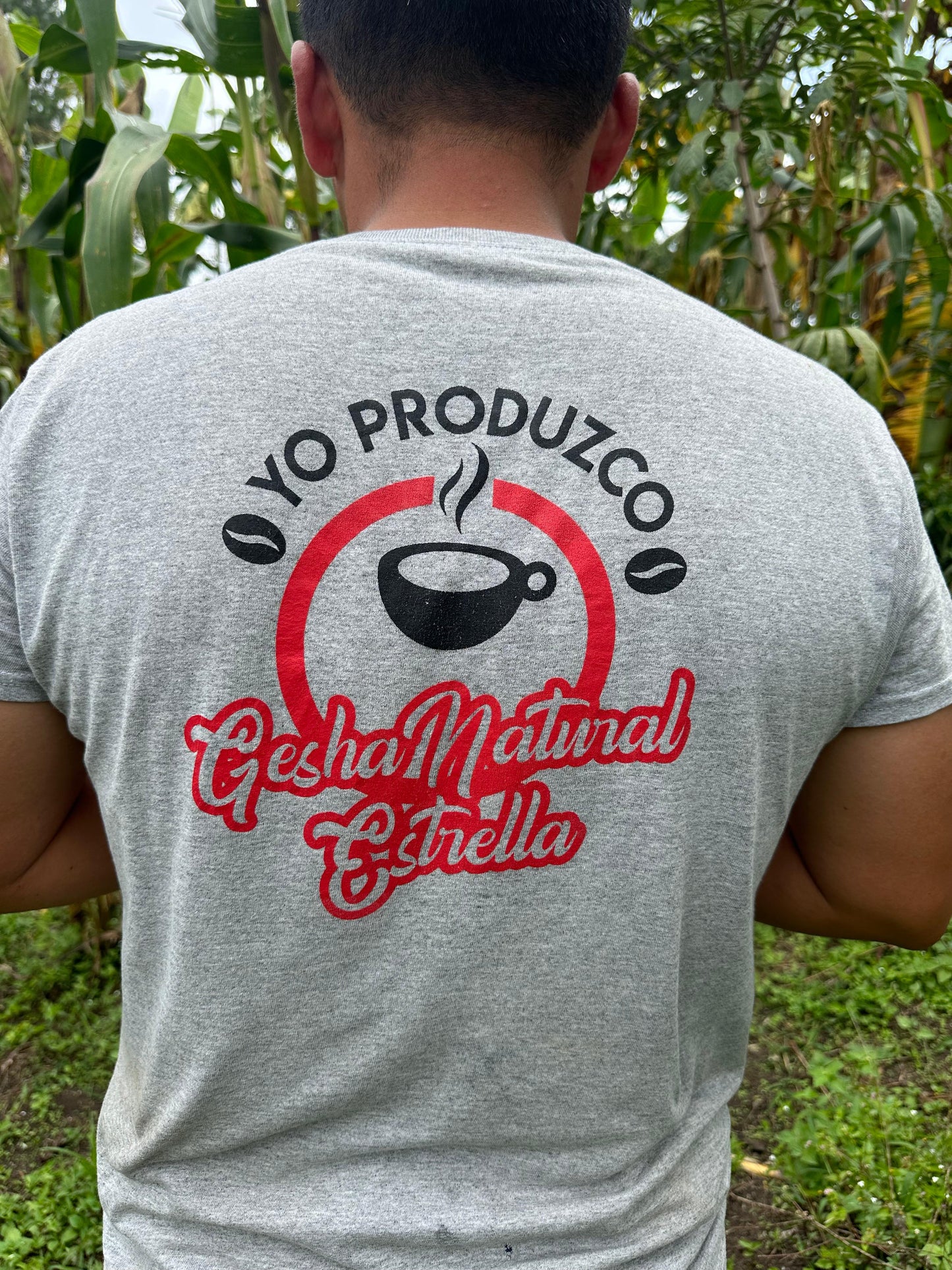 Carlos Estrella Gesha Washed - Finca La Estrella Lot #1 - Colombia