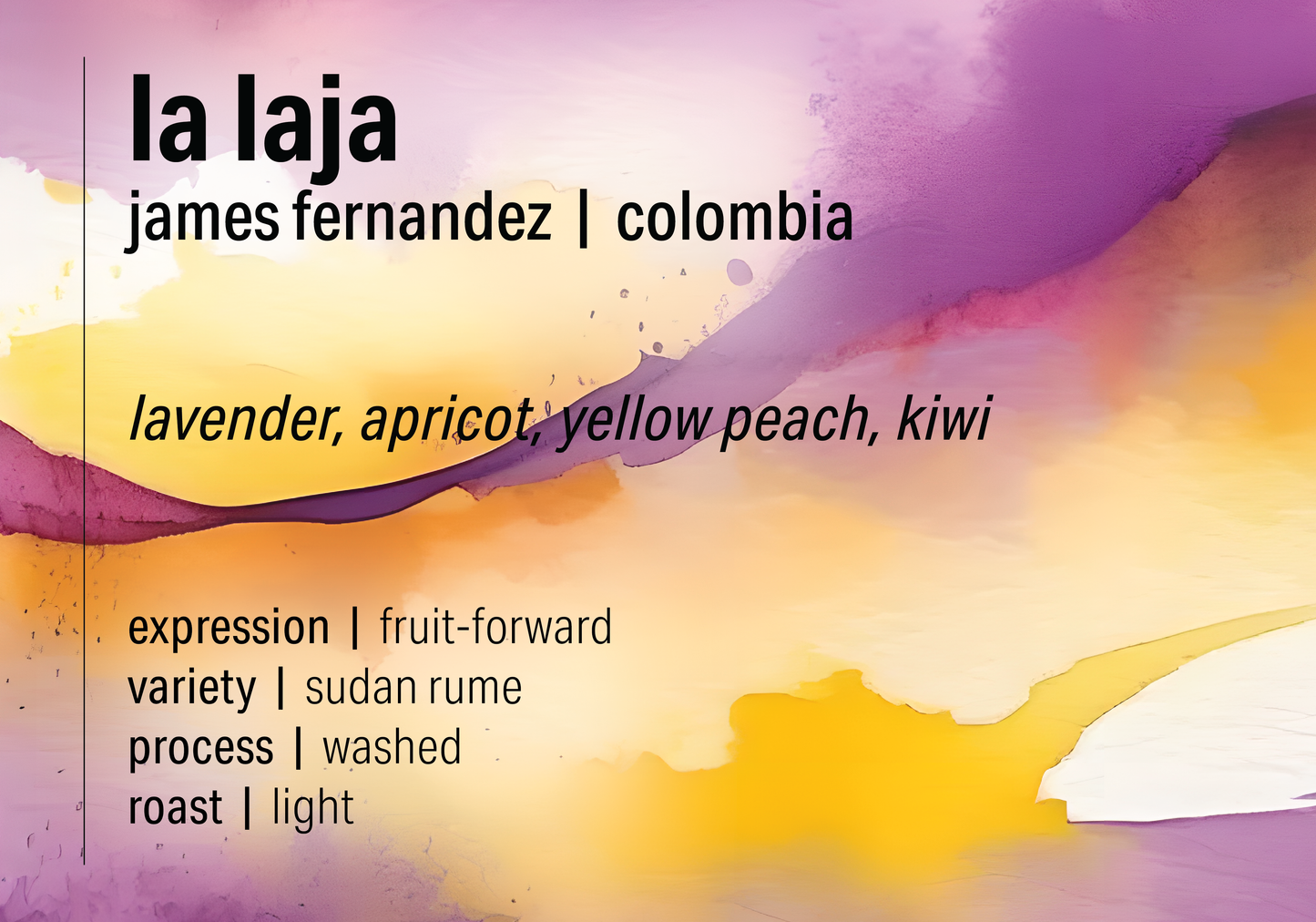 James Fernandez Sudan Rume Washed - La Laja - Colombia