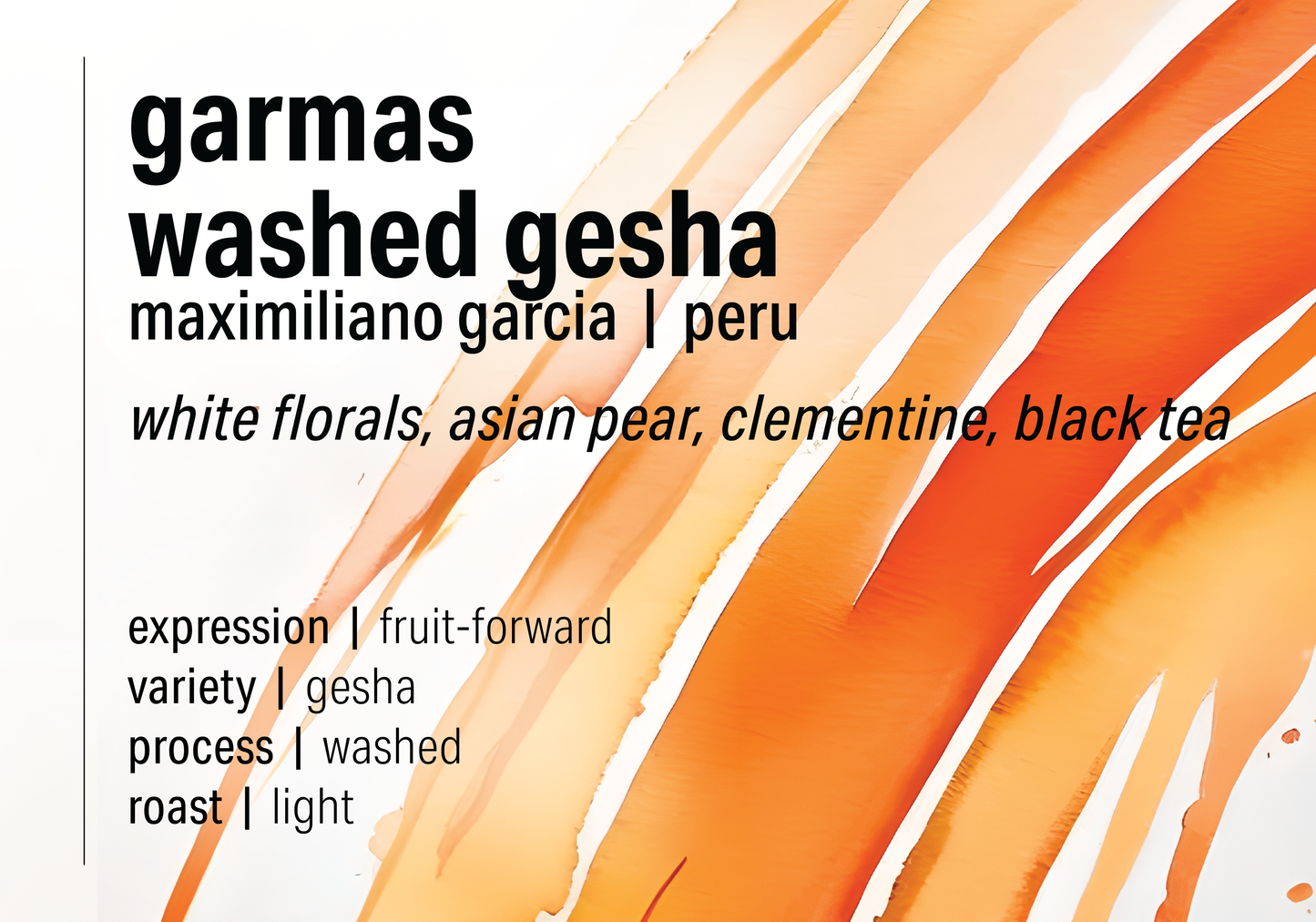 Maximiliano Garcia Gesha Washed - Garmas - Peru