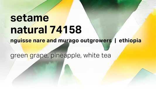 Setame Nguisse Nare and Murago Outgrowers - Natural 74158 Landrace - Ethiopia