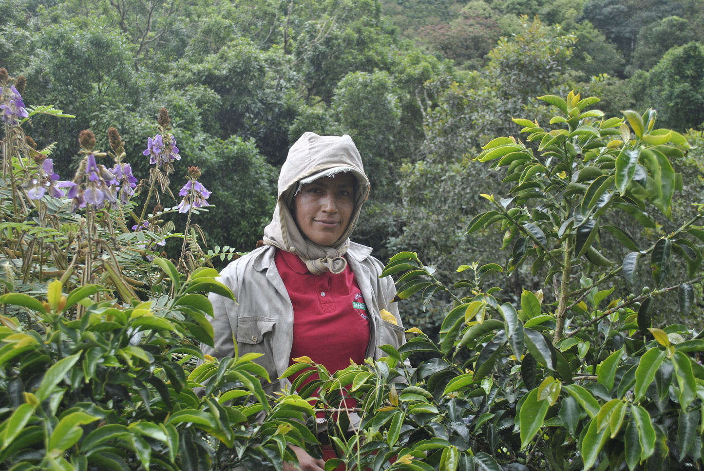 Finca Juan Martin - Oxidation Washed Pink Bourbon - Colombia