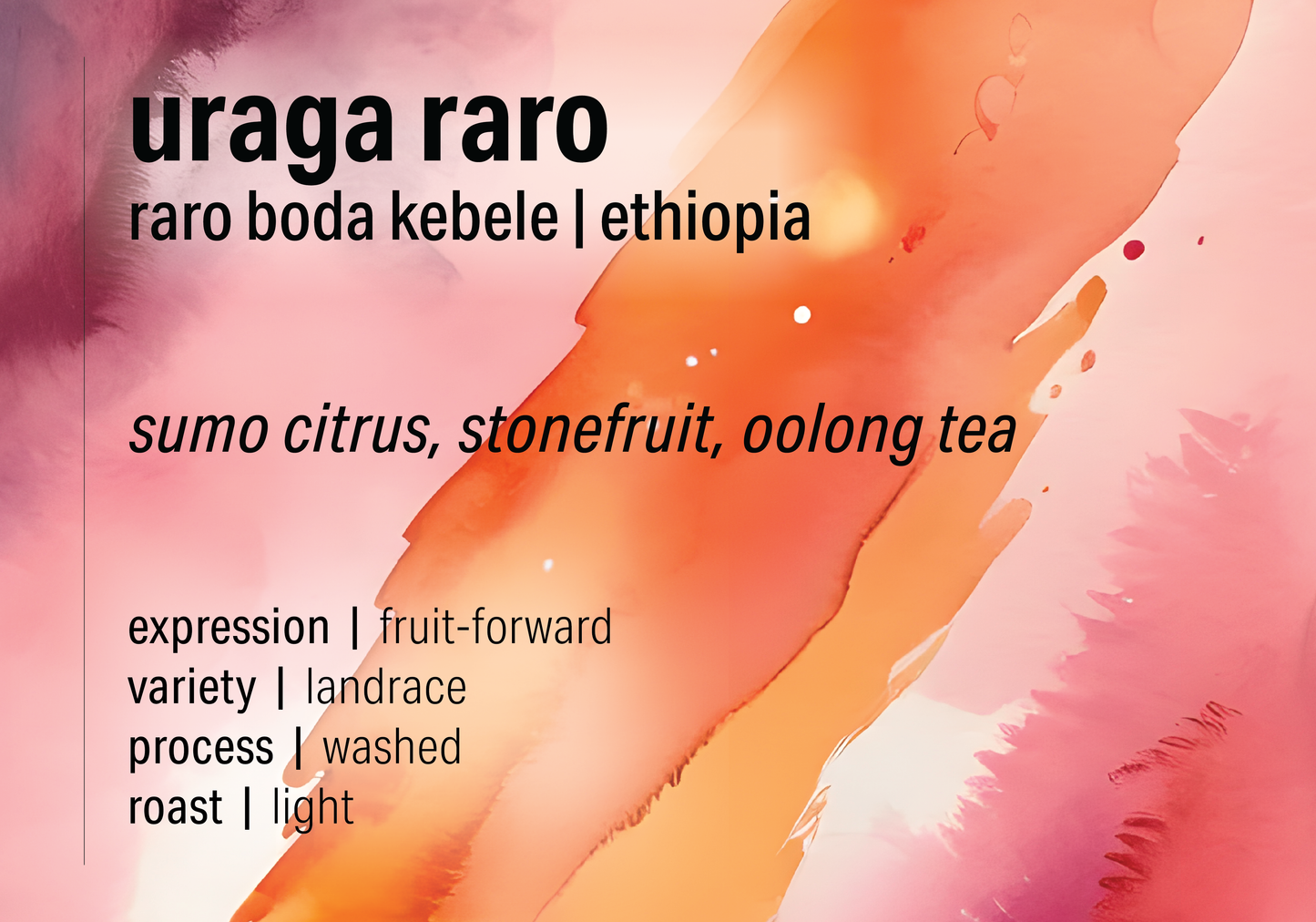 Uraga Raro - Washed Landrace - Ethiopia