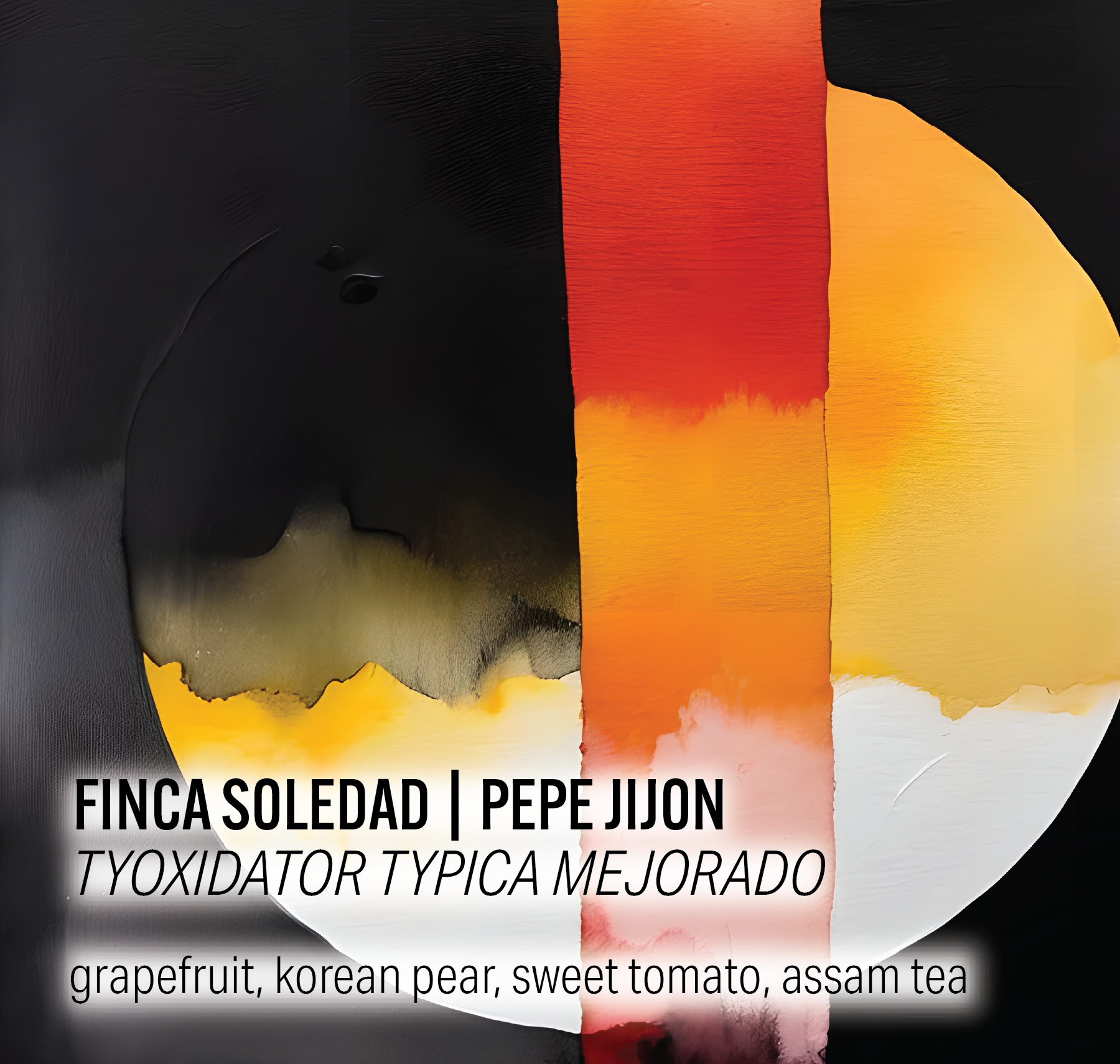 Finca Soledad - TyOxidator Typica Mejorado - Ecuador packshot