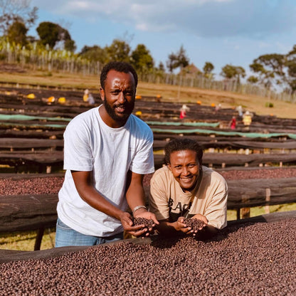 Elto Coffee Bona Station - Washed Landrace - Ethiopia