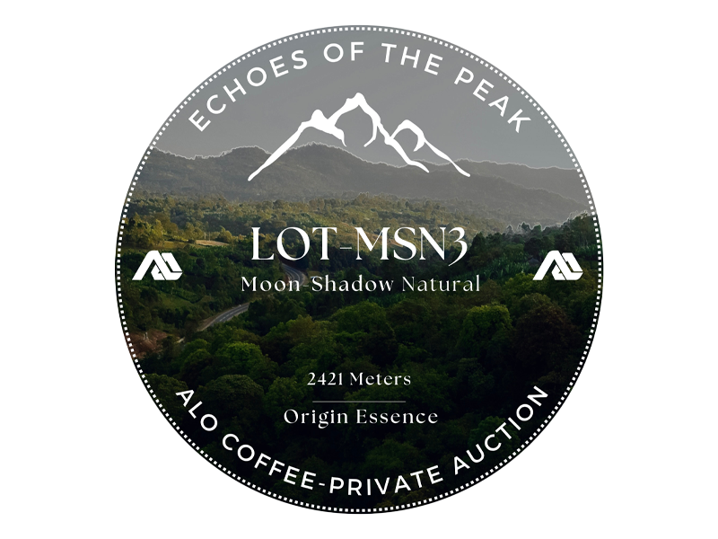 Alo Coffee Auction 2025 - Moon Shadow Natural #3 (MSN3) - Ethiopia