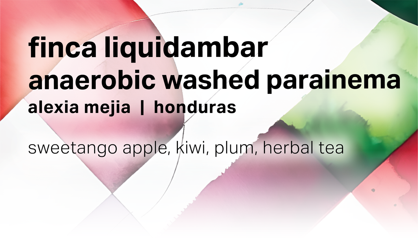 Alexia Mejia Finca Liquidambar - Anaerobic Washed Parainema - Honduras