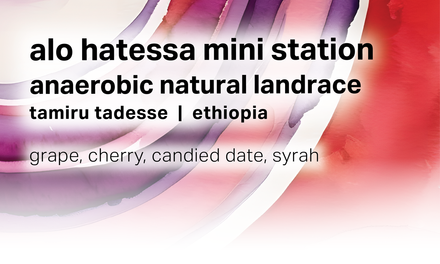 Alo Hatessa Mini Station - Anaerobic Natural 74158 - Ethiopia