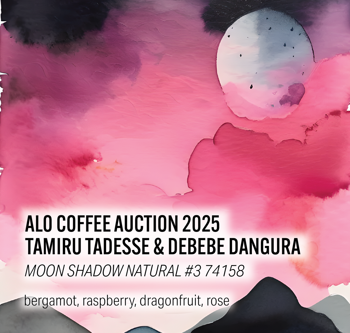 Alo Coffee Auction 2025 - Moon Shadow Natural #3 (MSN3) - Ethiopia