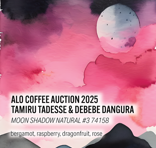 Alo Coffee Auction 2025 - Moon Shadow Natural #3 (MSN3) - Ethiopia
