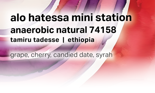 Alo Hatessa Mini Station - Anaerobic Natural 74158 - Ethiopia