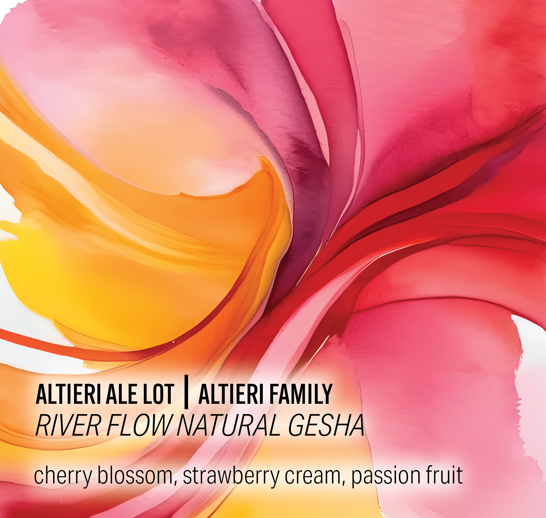 Altieri Ale Lot - River Flow Natural Gesha - Panama packshot