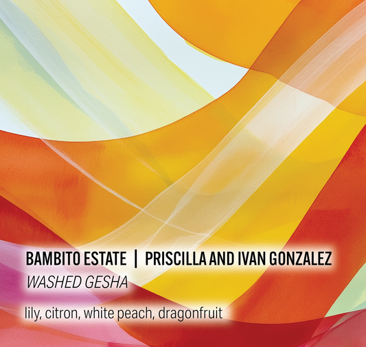 Bambito Estate Coffee - Priscilla and Ivan Gonzalez - Washed Gesha - Panama
