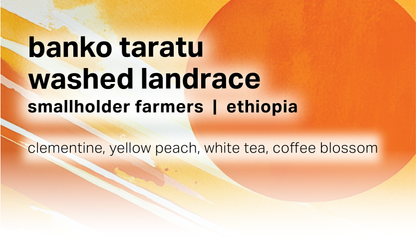 Banko Taratu - Smallholder Farmers - Washed Landrace - Ethiopia
