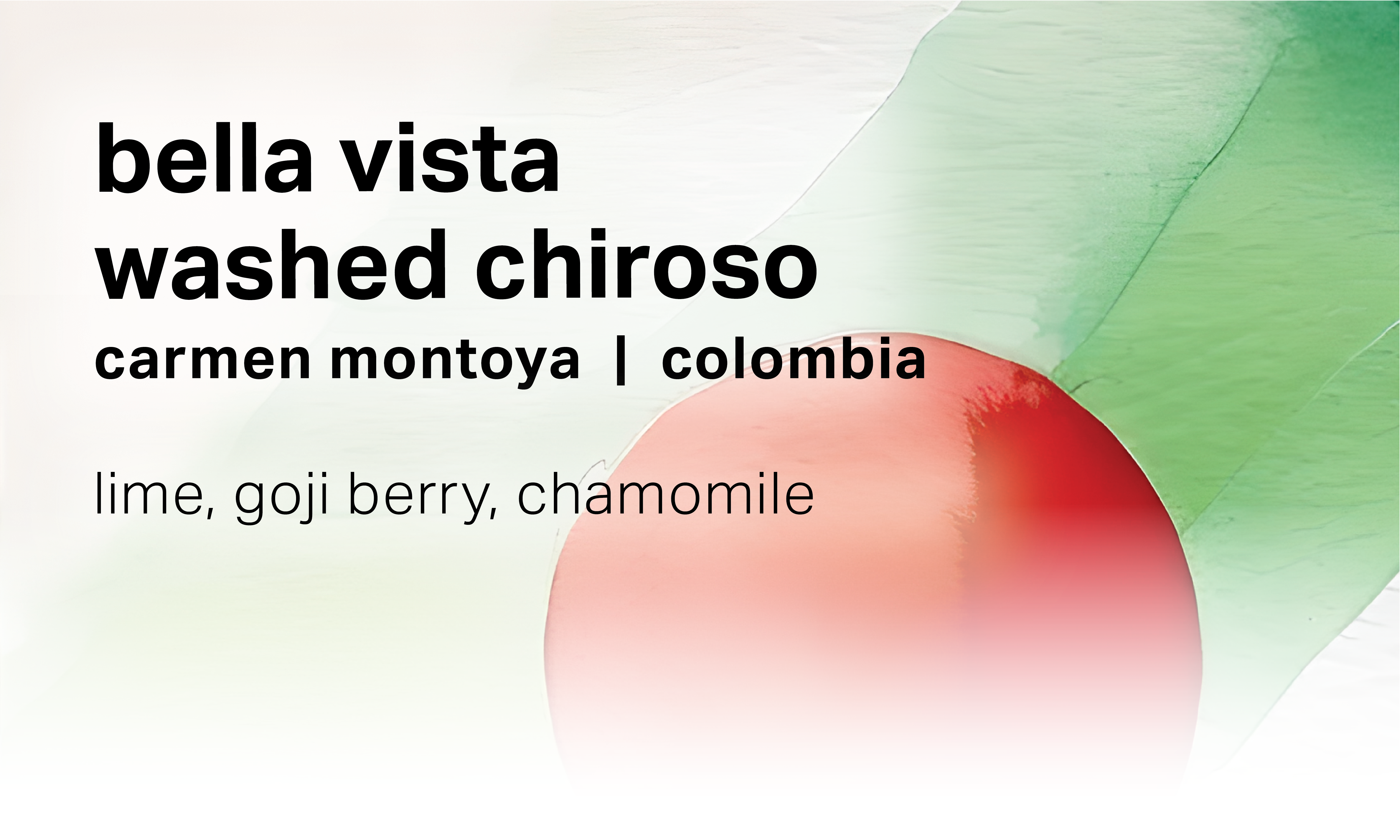 Carmen Montoya Bella Vista - Washed Chiroso - Colombia