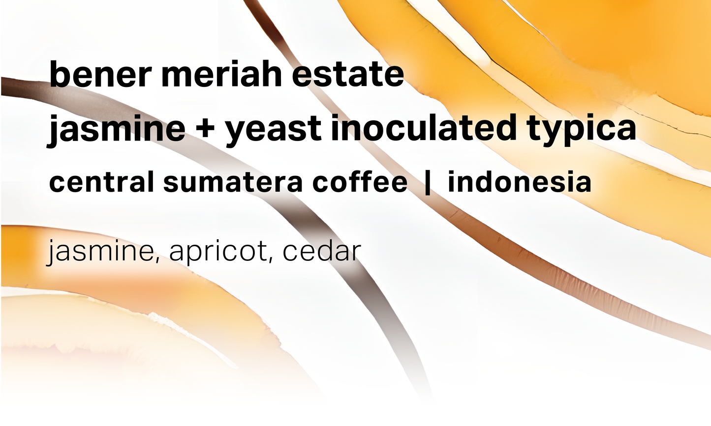 Central Sumatera Coffee Bener Meriah Estate - Jasmine + Yeast Inoculated Wet-Hulled  Typica - Indonesia