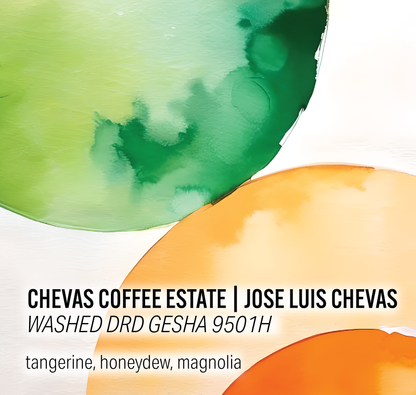Chevas Coffee Estate - Washed DRD Gesha 9501H - Panama