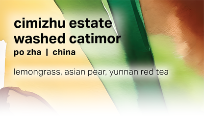 Cimizhu Estate Po Zha - Washed Catimor - China