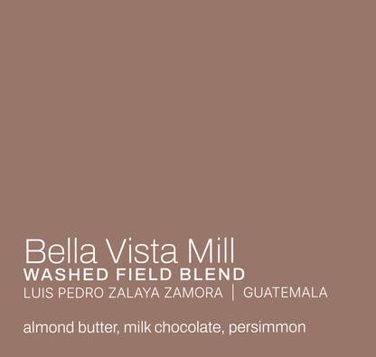 Bella Vista Mill - Luis Pedro Zalaya Zamora - Washed Field Blend - Guatemala