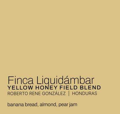 Finca Liquidambar - Roberto Rene González - Yellow Honey Field Blend - Honduras