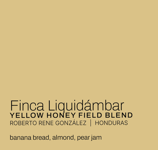 Finca Liquidambar - Roberto Rene González - Yellow Honey Field Blend - Honduras