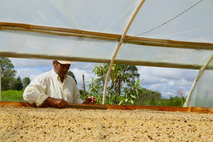 Banexport Project - Smallholder Farmers - Honey Castillo - Colombia