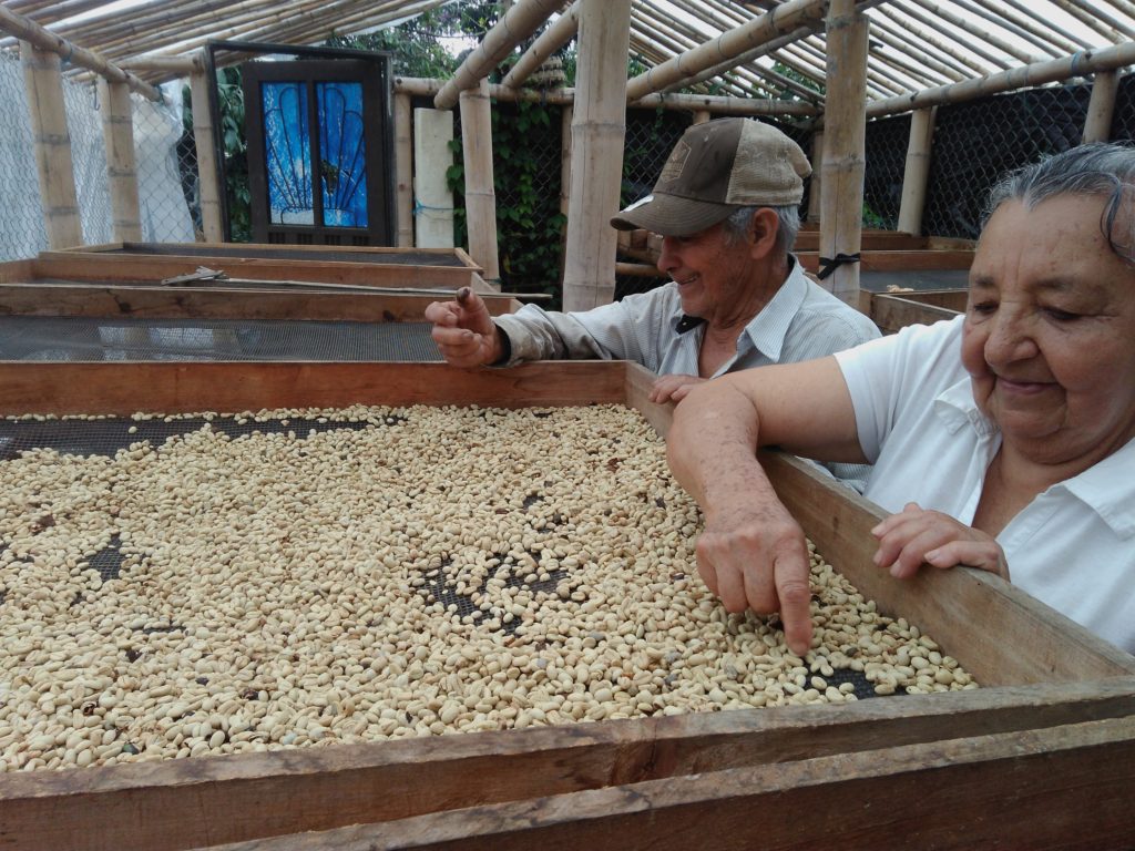 Banexport Project - Smallholder Farmers - Honey Castillo - Colombia