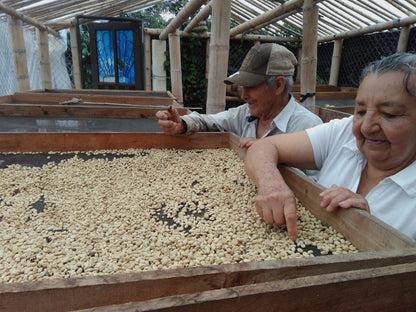 Banexport Project - Smallholder Farmers - Honey Castillo - Colombia