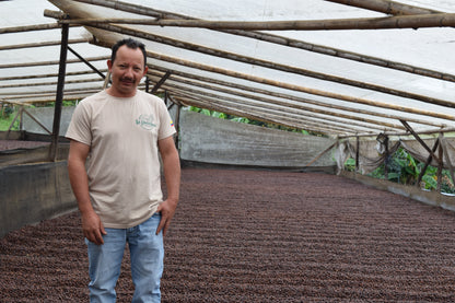 Dark Roast - Finca La Piragua - Natural Red Stripe Bourbon - Colombia