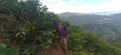 Gilber Huayllas Llaqta Pata - Anaerobic Washed SL9 - Peru