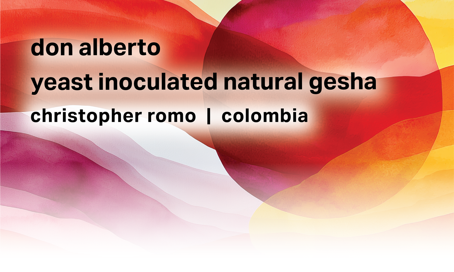 Don Alberto - Christopher Romo - Yeast Inoculated Natural Gesha - Colombia