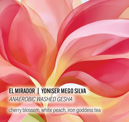 El Mirador - Yoniser Mego Silva - Anaerobic Washed Gesha - Peru