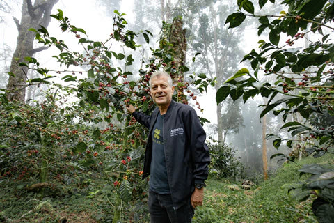 Lamastus Family El Burro Lot #16- ASD Natural Gesha - Panama