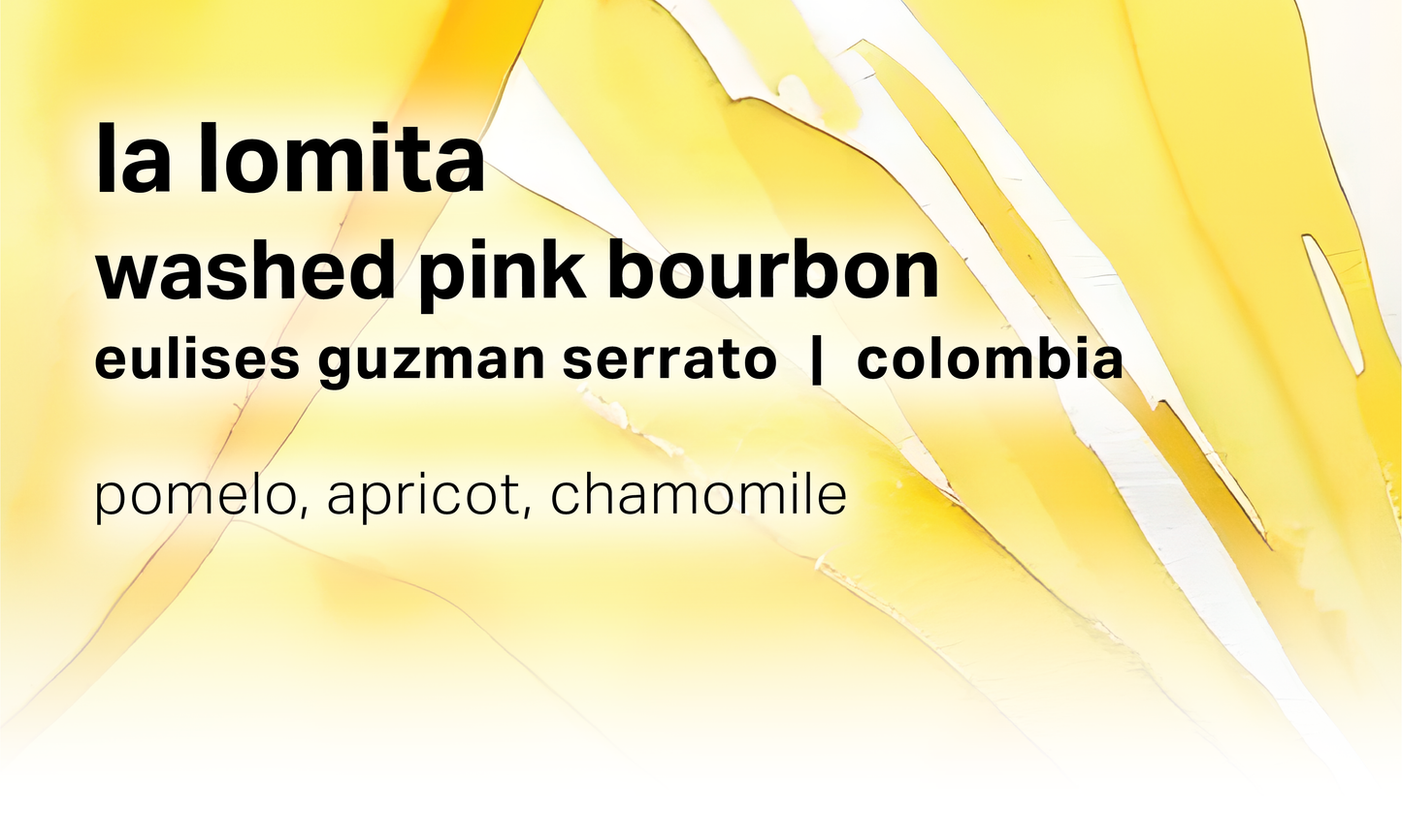 Eulises Guzman Serrato La Lomita - Washed Pink Bourbon - Colombia