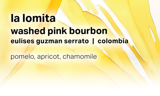 Eulises Guzman Serrato La Lomita - Washed Pink Bourbon - Colombia