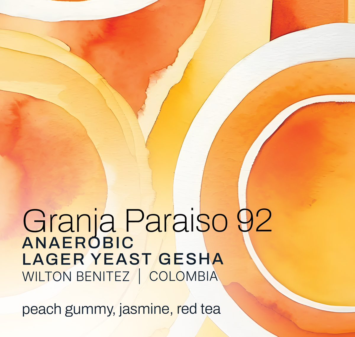 Granja Paraiso 92 - Wilton Benitez - Lager Gesha - Colombia