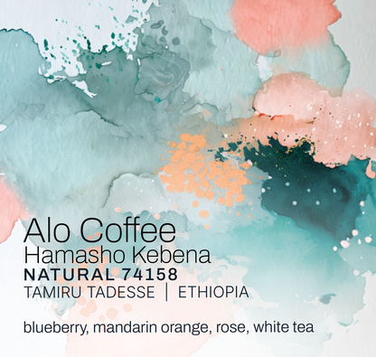 Alo Coffee Hamasho Kebena - Tamiru Tadesse - Natural 74158 - Ethiopia