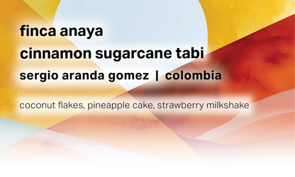 Finca Anaya - Sergio Aranda Gomez - Cinnamon Sugarcane Tabi - Colombia