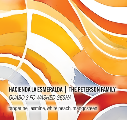 Hacienda La Esmeralda Peterson Family - Guabo 3 FC Washed Gesha - Panama